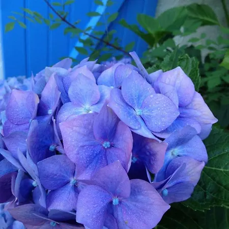 La Caillerie Oda ve Kahvaltı