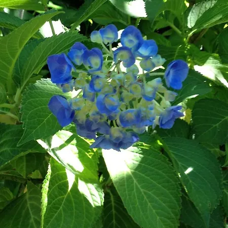 La Caillerie Bed & Breakfast 3*