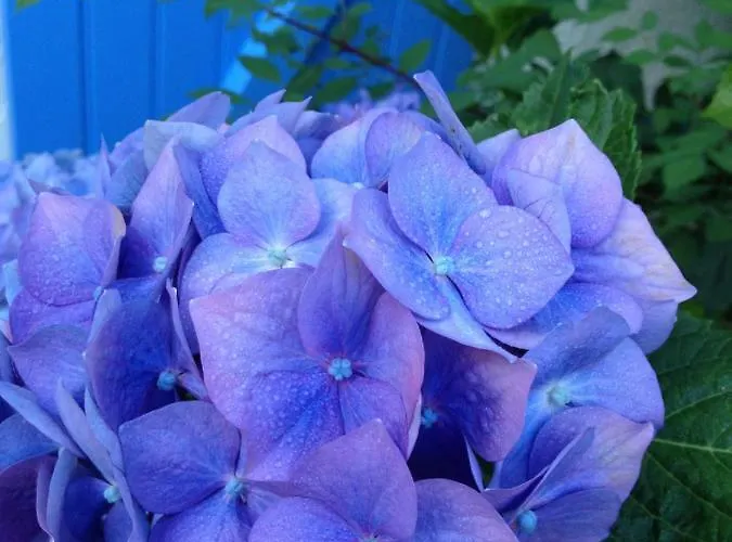 La Caillerie ベッド・アンド・ブレックファスト