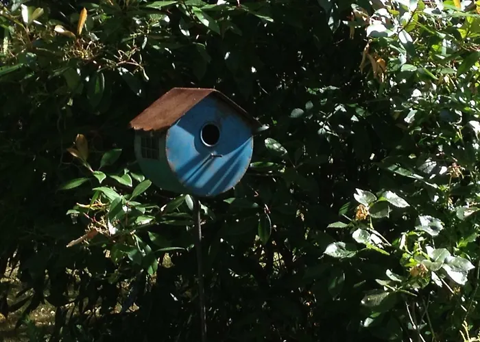 ベッド・アンド・ブレックファスト La Caillerie Chauvé