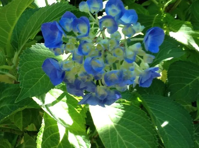 La Caillerie ベッド・アンド・ブレックファスト 3*